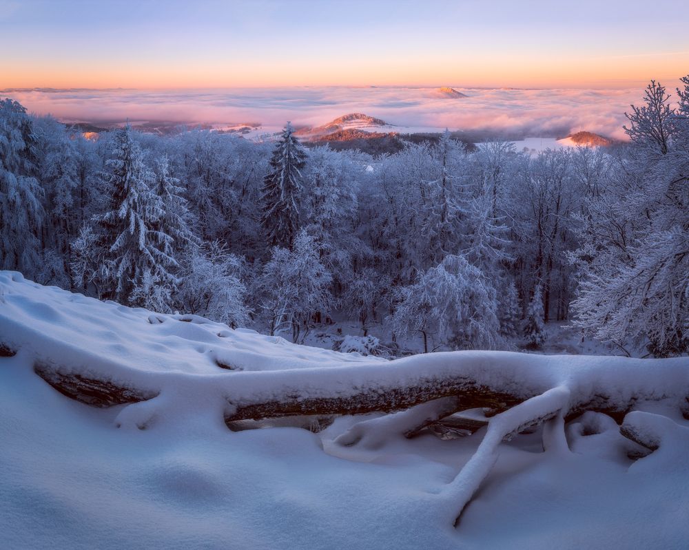 Photograph by Filip Holic