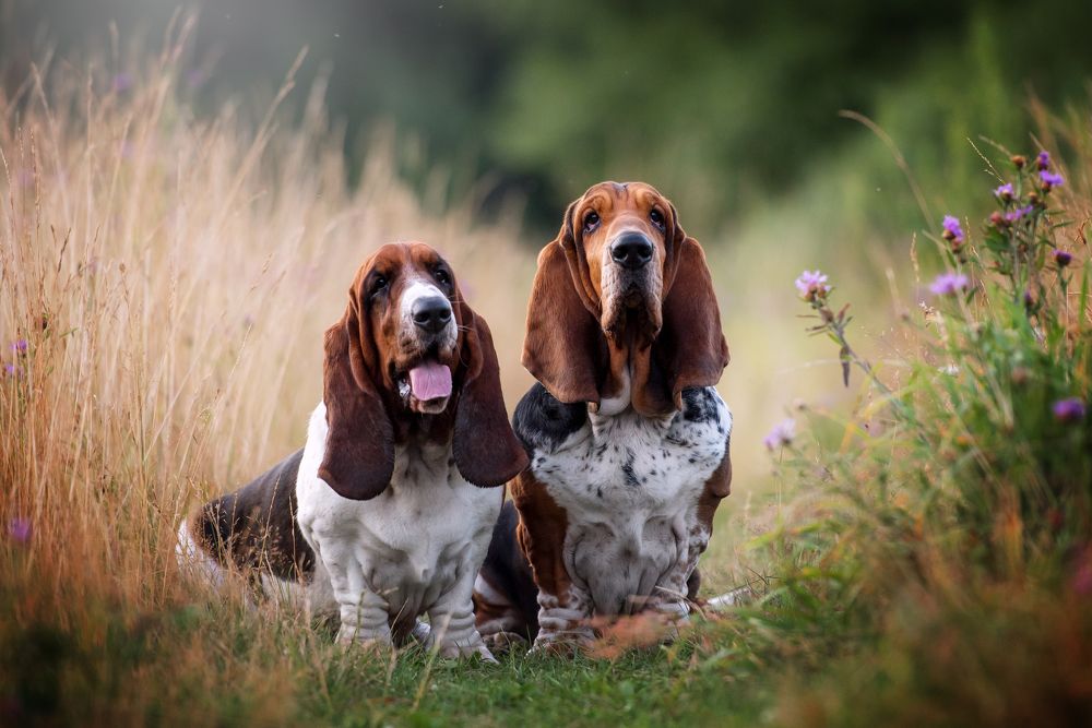 Photograph by Анна Титова