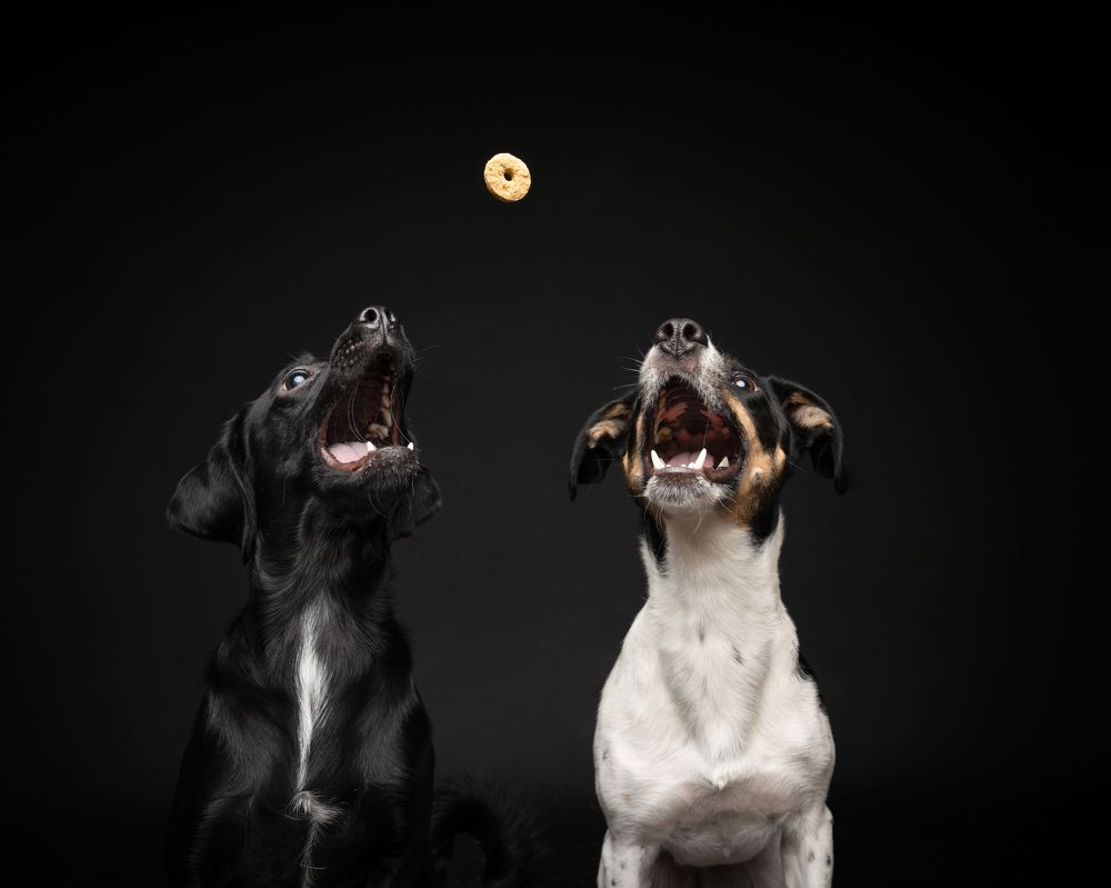 Photograph by Almasconpelo