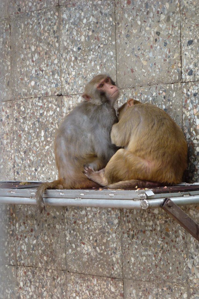 Photograph by Петр Поспелов