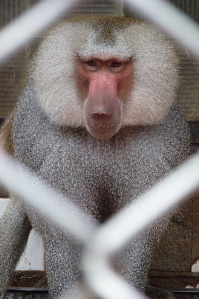 Photograph by Петр Поспелов