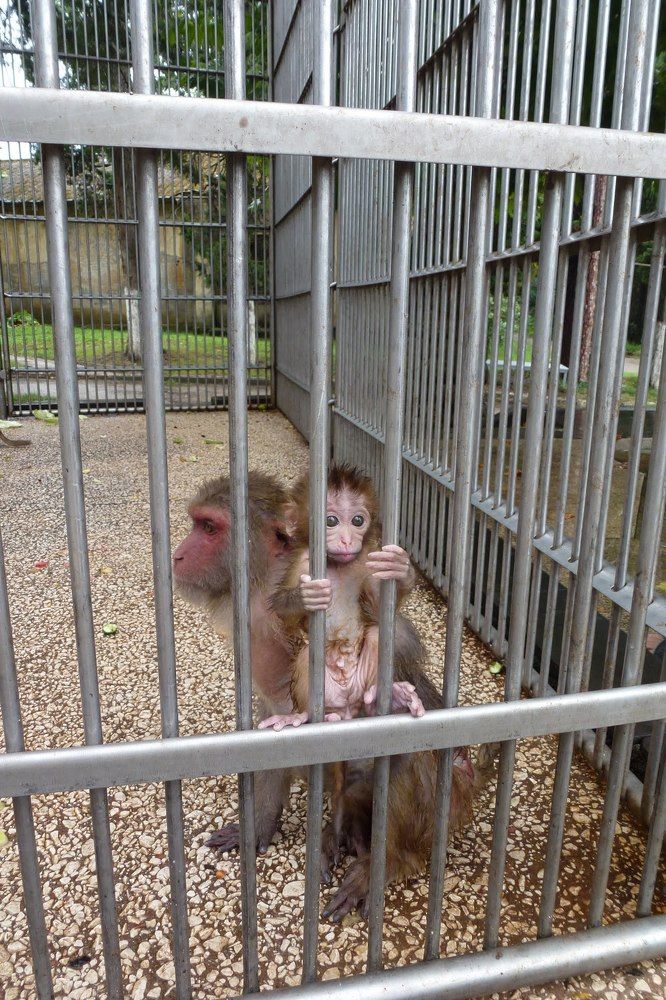 Photograph by Петр Поспелов