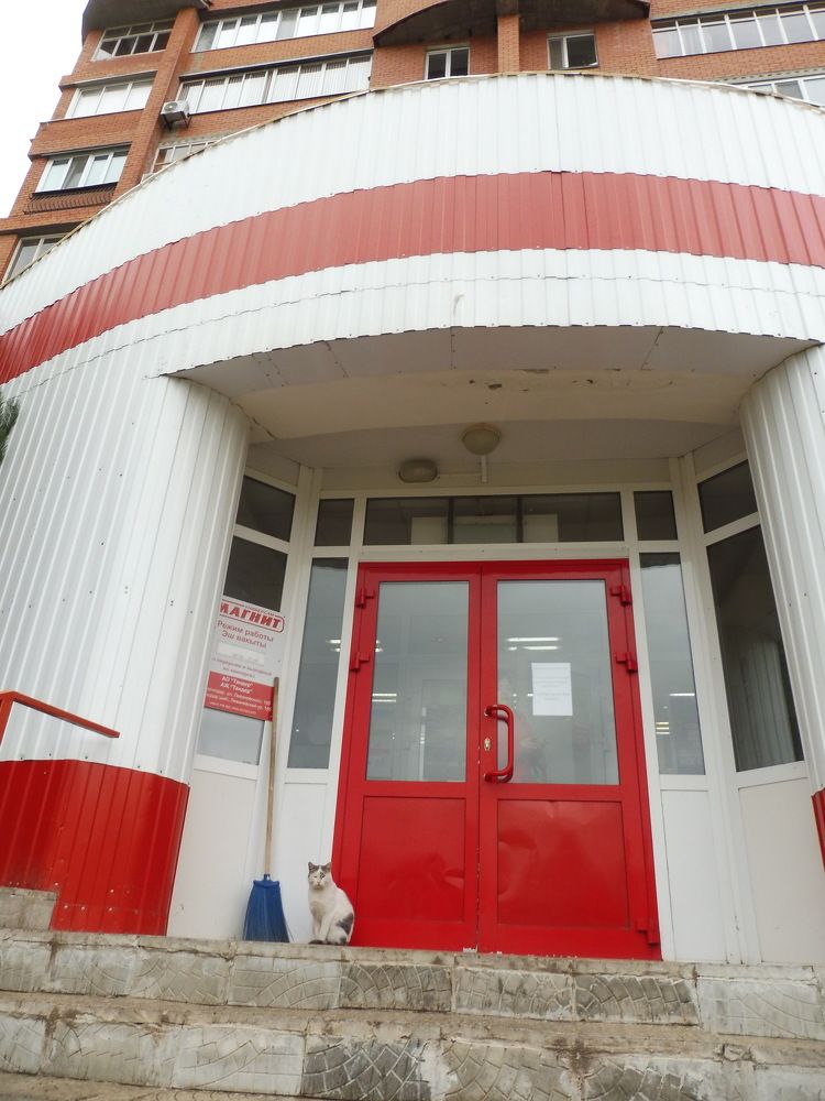 Фотография автора Клавдия Васильева