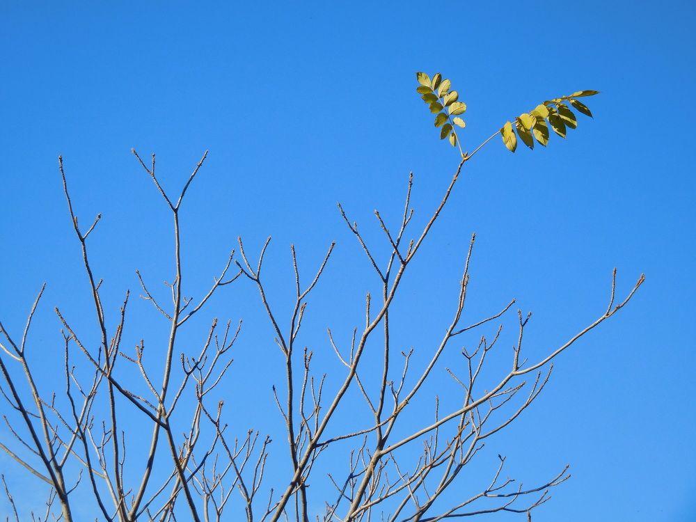 Photograph by Маша Худякова