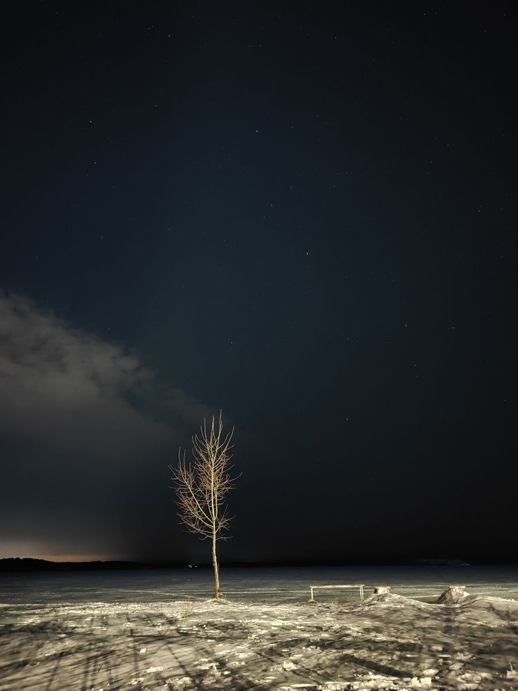 Photo #11735920