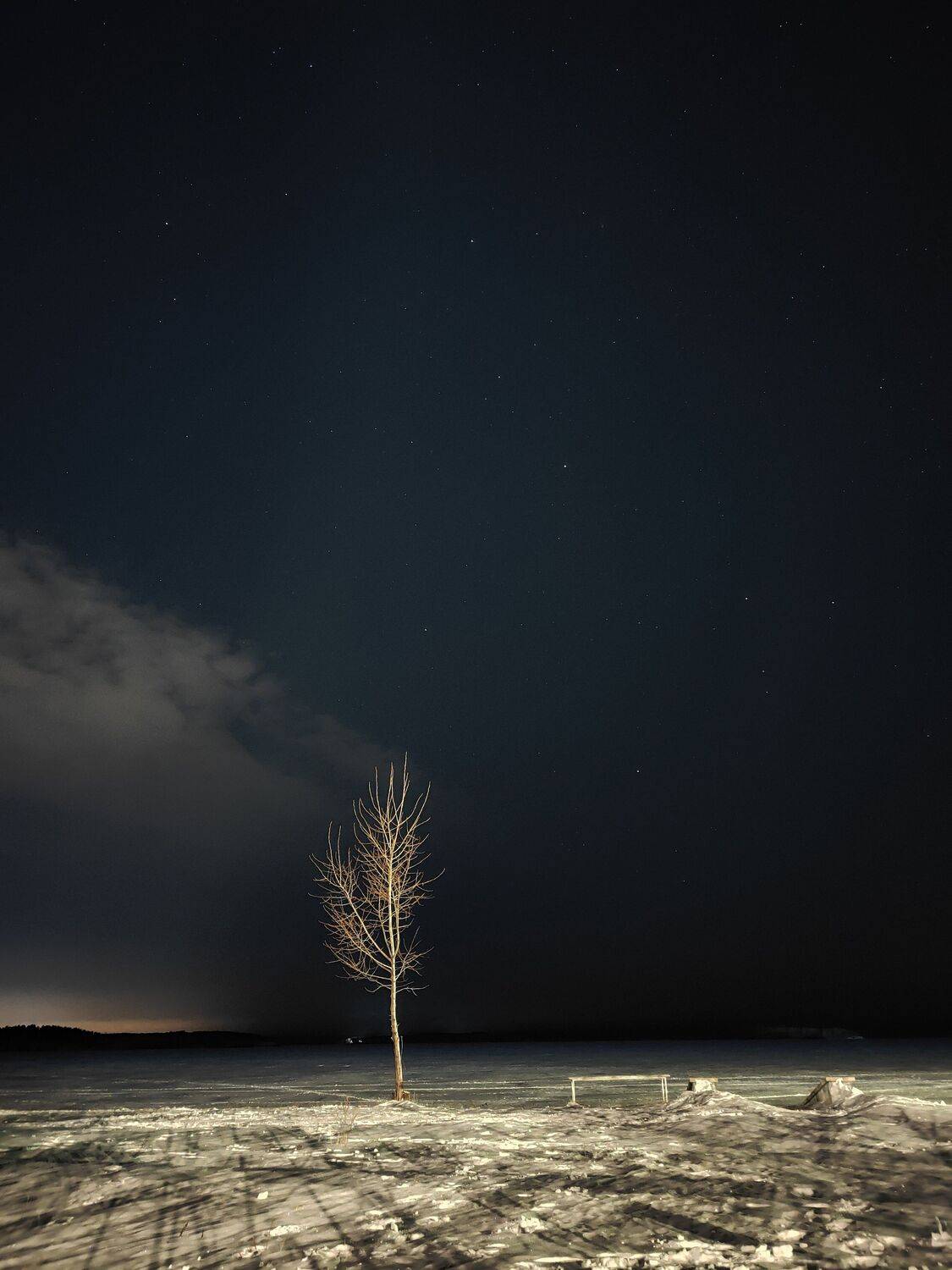 Photo #11735920
