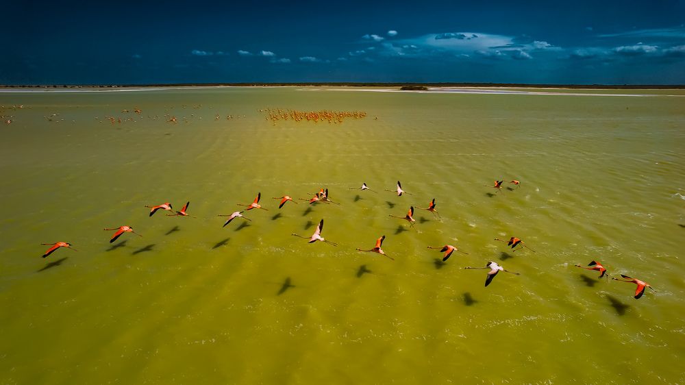 Фотография автора fabio chiari