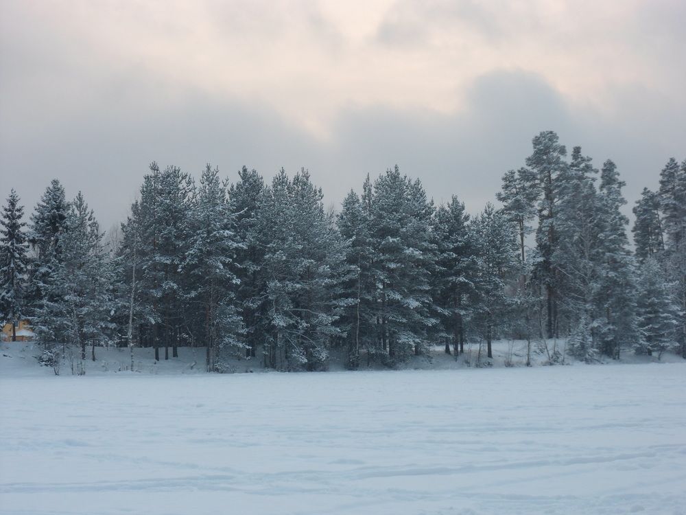 Photograph by Маша Худякова