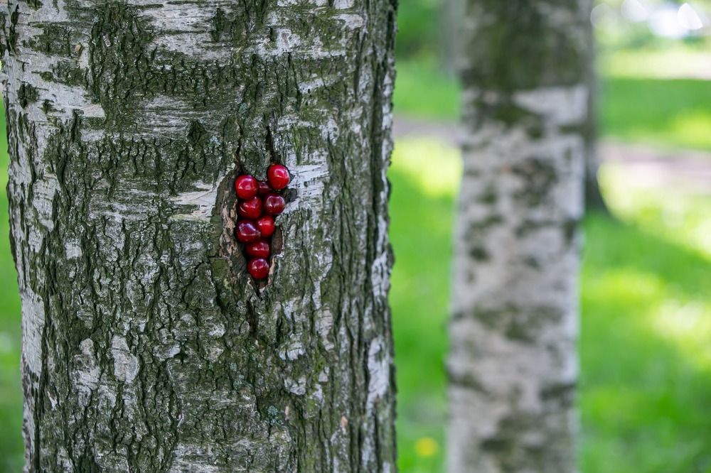 Photograph by Очева Наталья Александровна