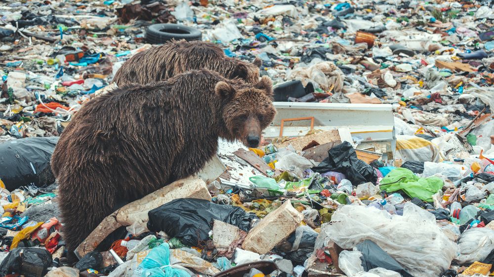 Photograph by Goiiiguk Vladimir