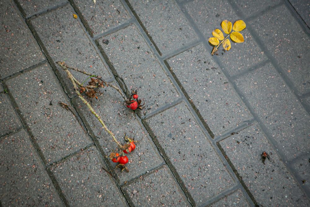 Photograph by Очева Наталья Александровна
