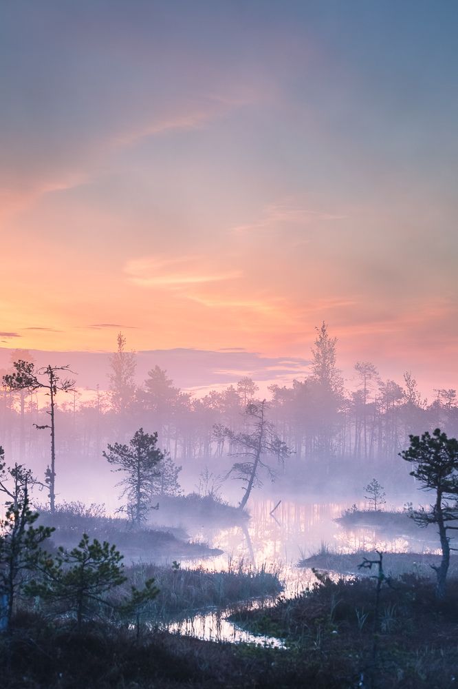 Photograph by Валерий Куропаткин