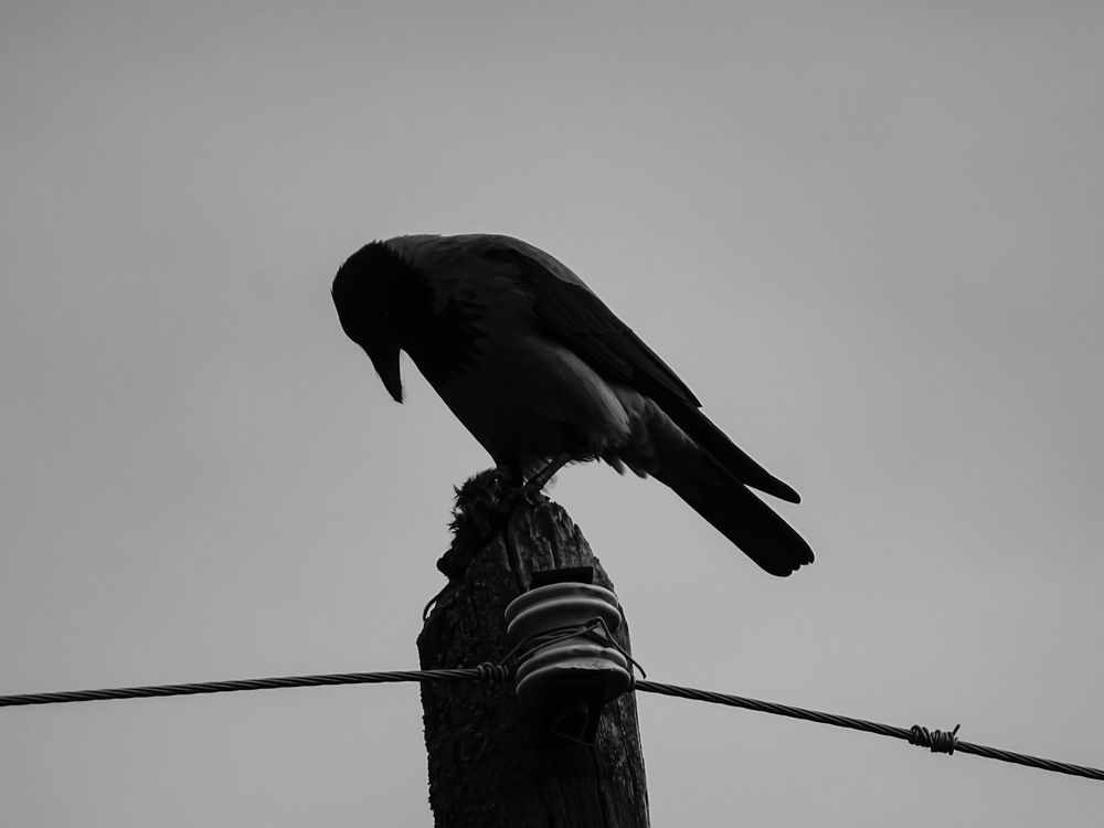 Photograph by Alexandra Kontodima