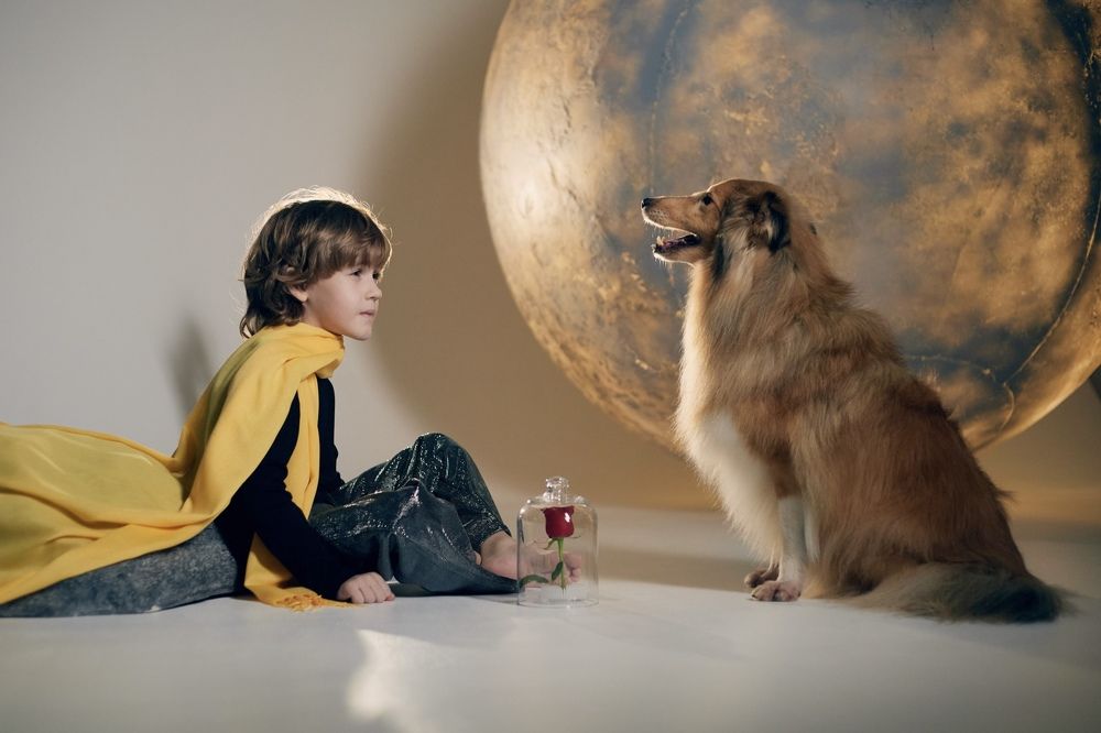 Photograph by Алена Мархель-Дианина