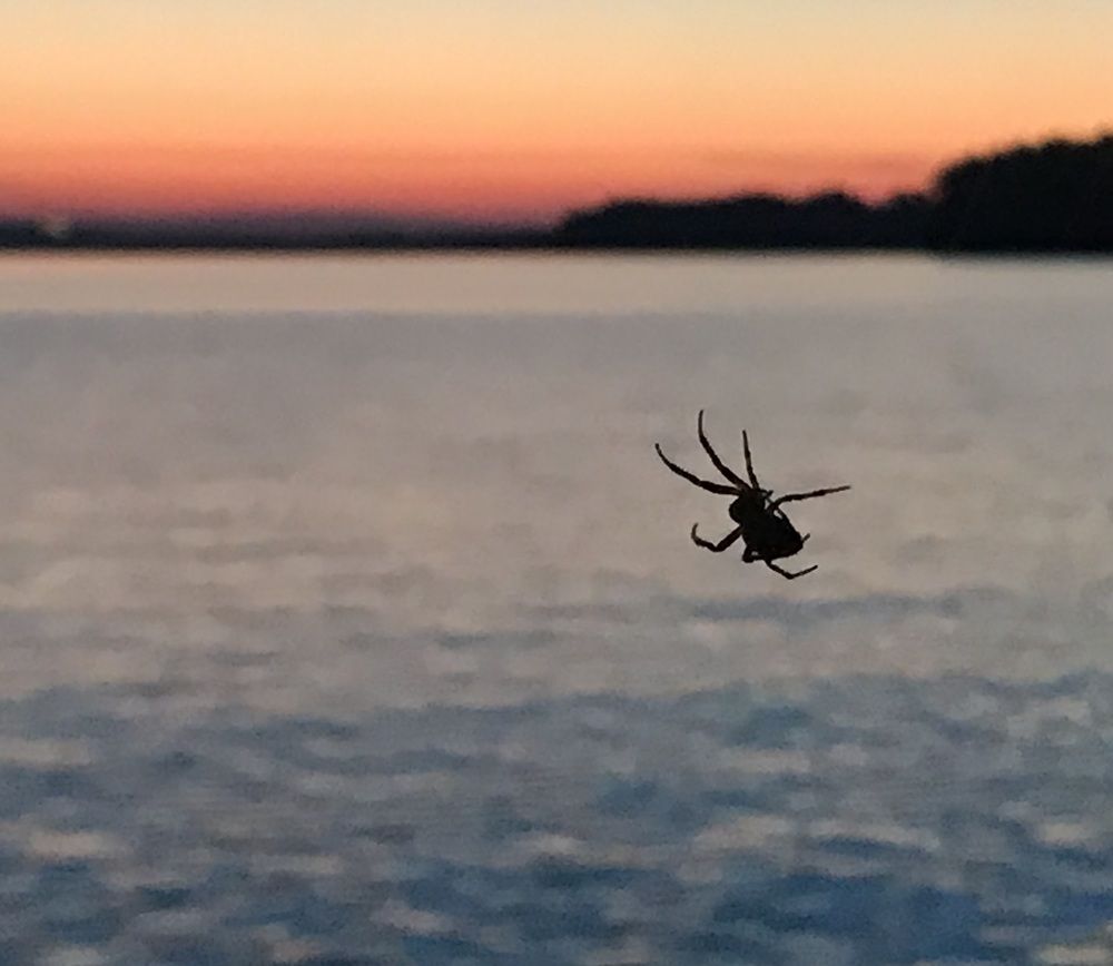 Photograph by Наталья Бычкова