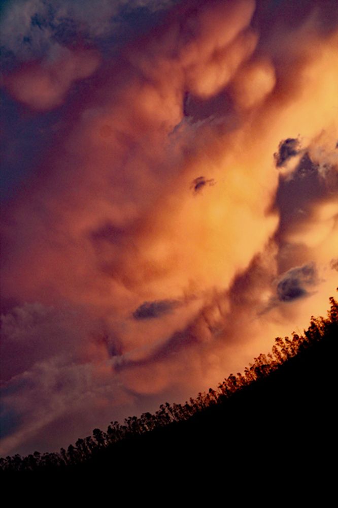 Photograph by Carlos Charly Brown