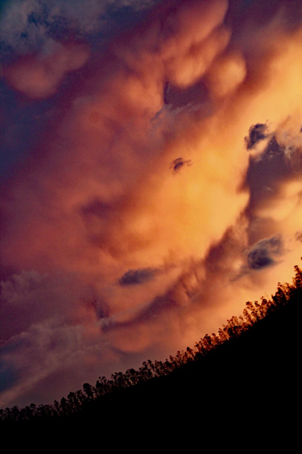 Photo #11736080