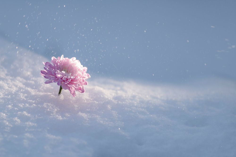 Photograph by Екатерина Аблаева