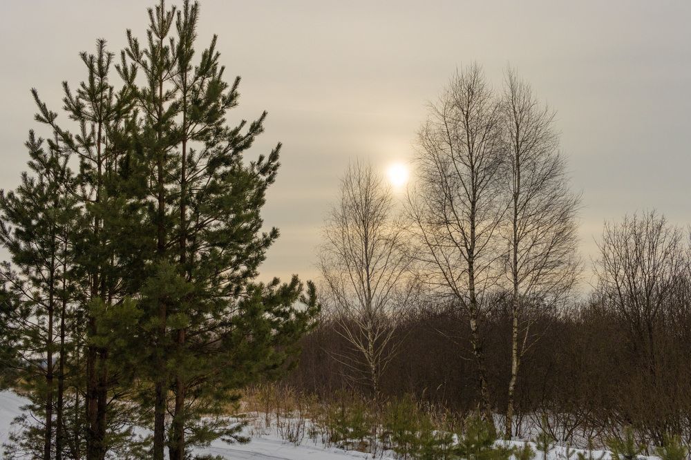 Photograph by Сергей Щербаков