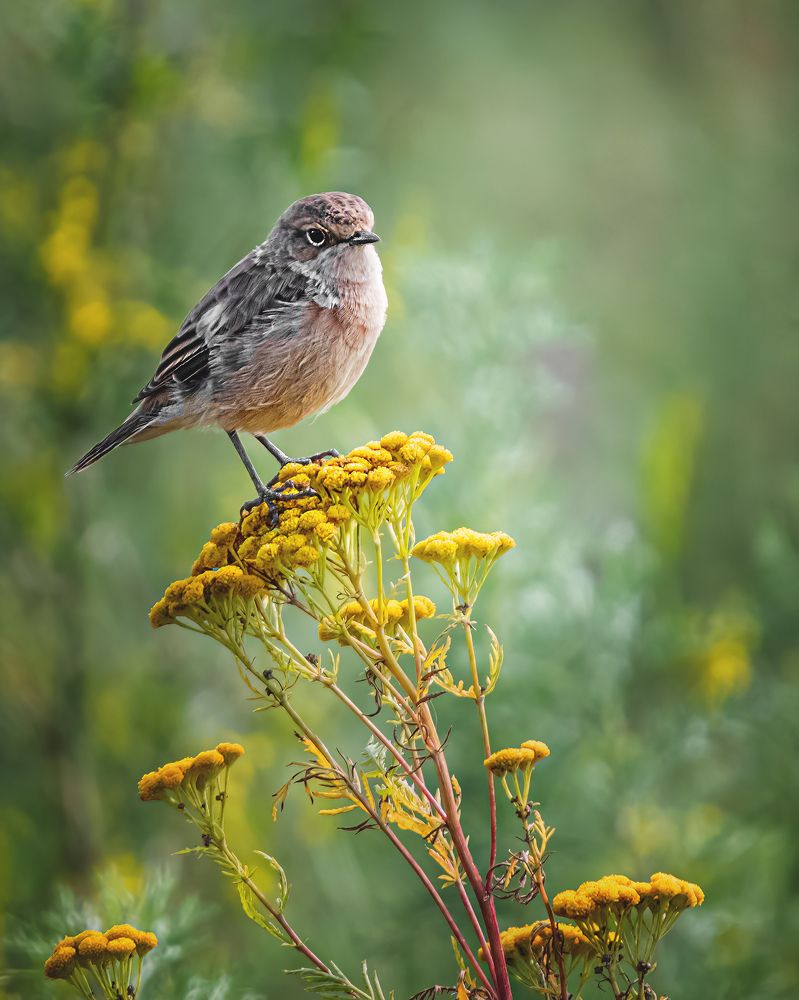 Photograph by Олег Белан