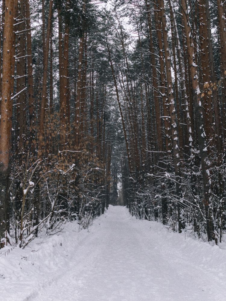 Photograph by Никита Быстрицкий