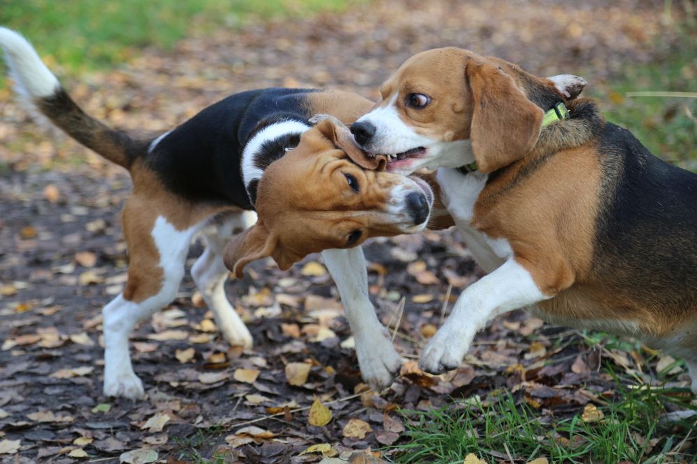 Photograph by Евгения Осипова