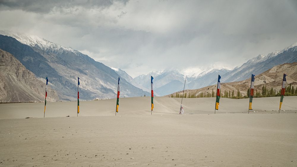 Photograph by Lisa Buzova