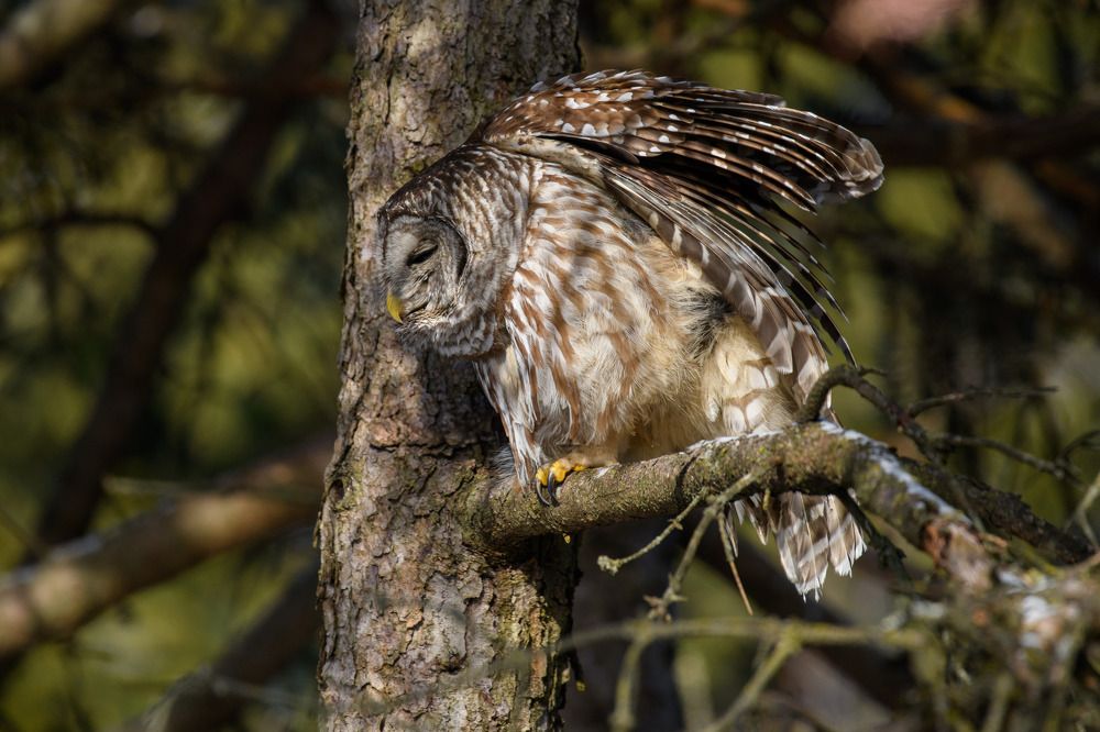 Photograph by Nathalie Talbot