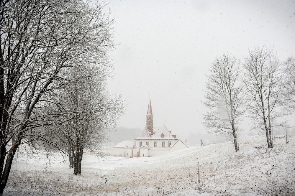 Фотография автора Альбина Хальяк