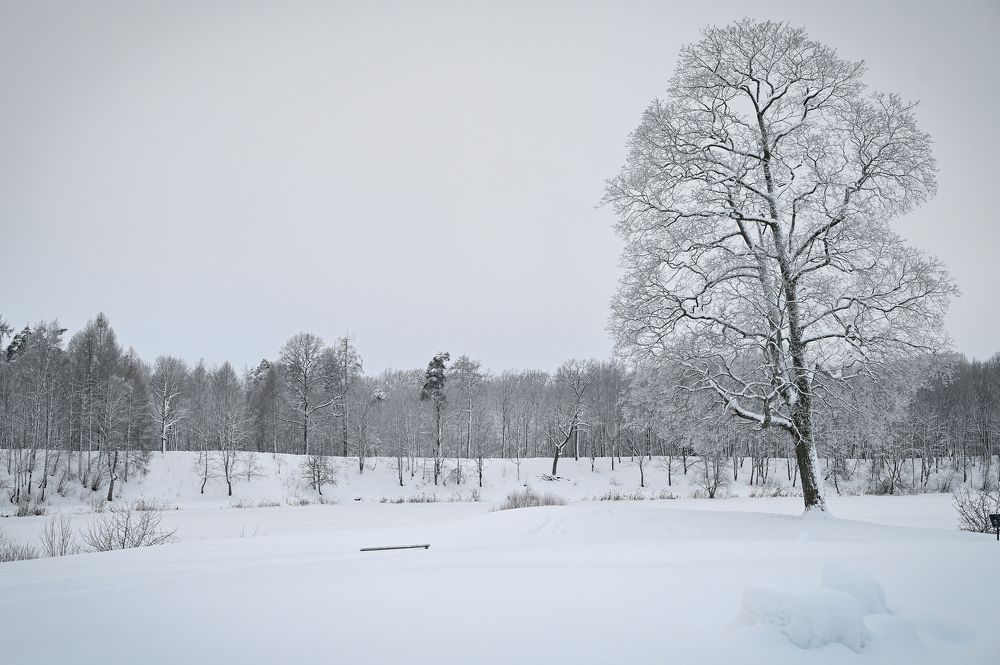 Фотография автора Альбина Хальяк