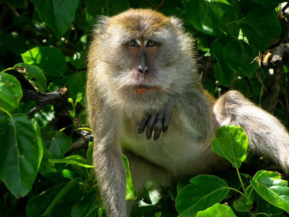 Photograph by Marina Shamonina