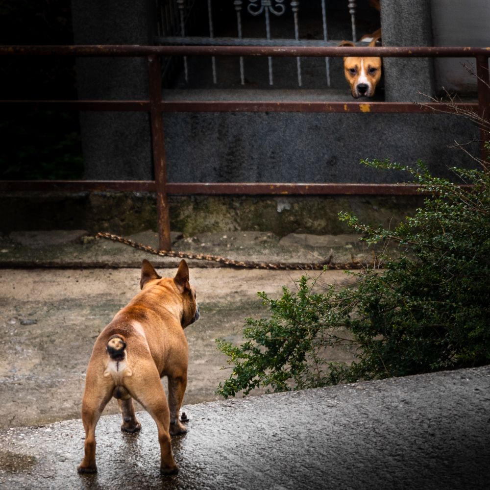Photograph by Анна Стрелковская