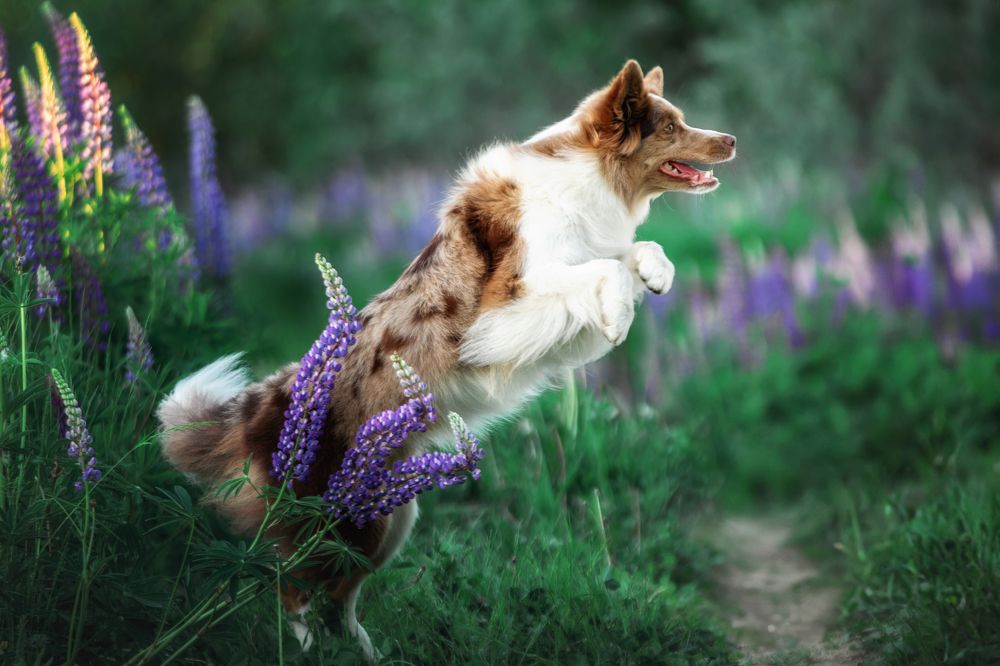 Photograph by Зубкова Юлия