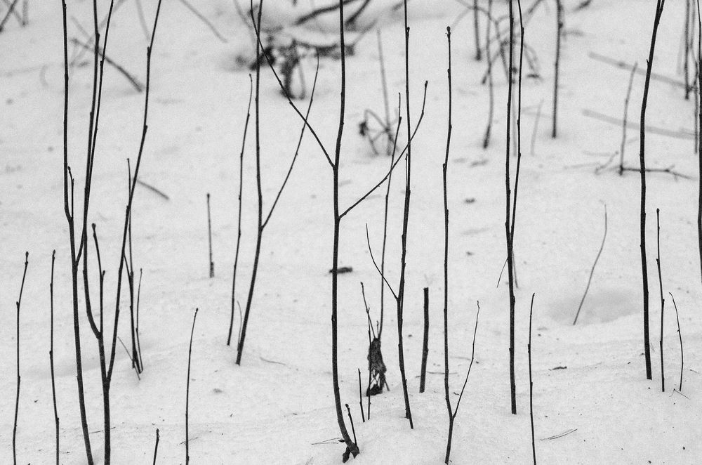 Photograph by Ольга Новикова