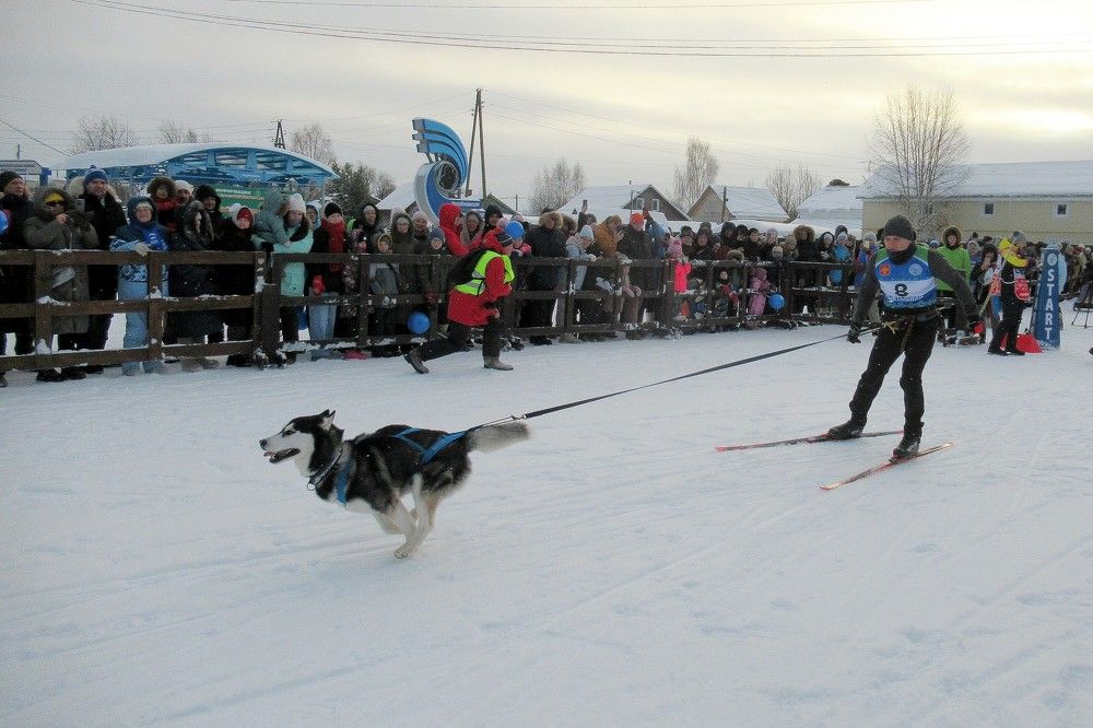 Photograph by Ольга Березовская