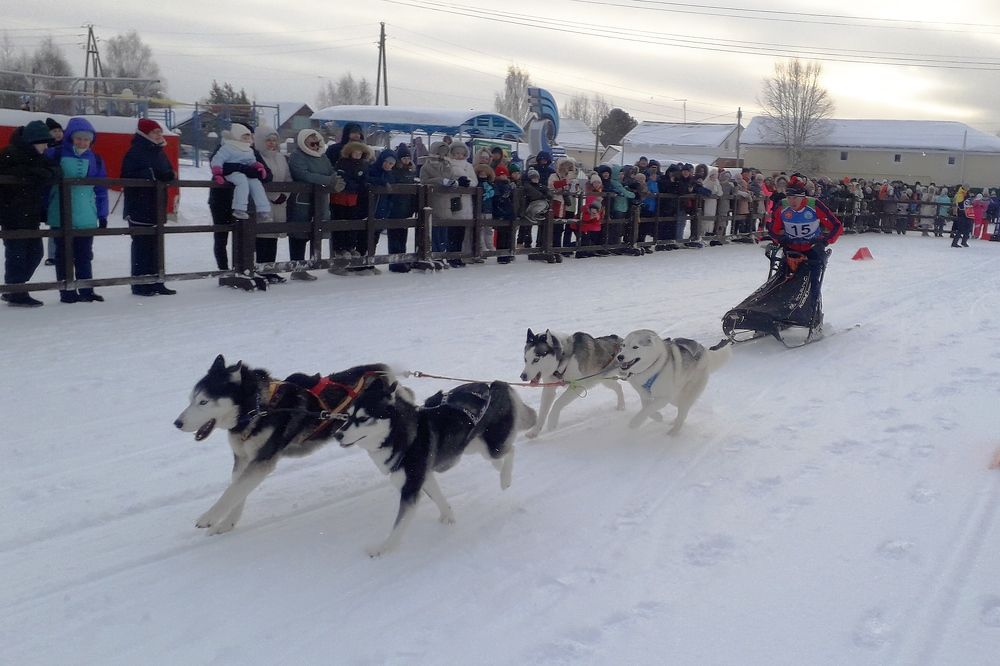 Photograph by Ольга Березовская
