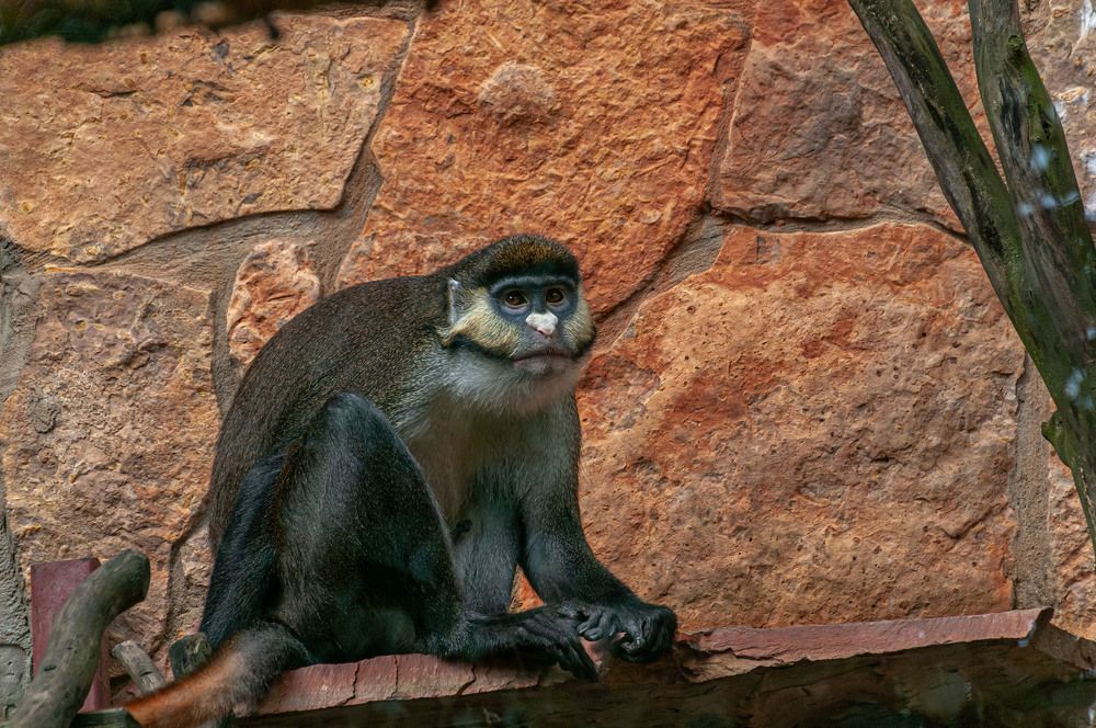 Photograph by Vladimir  Komarov