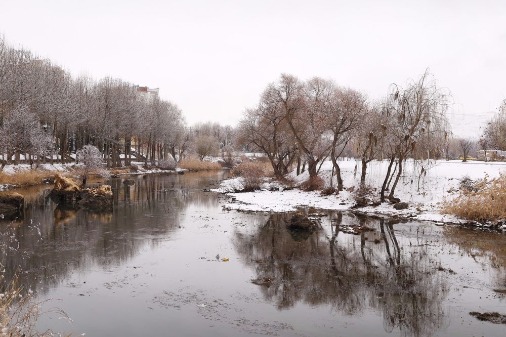 Photograph by arman davoudi