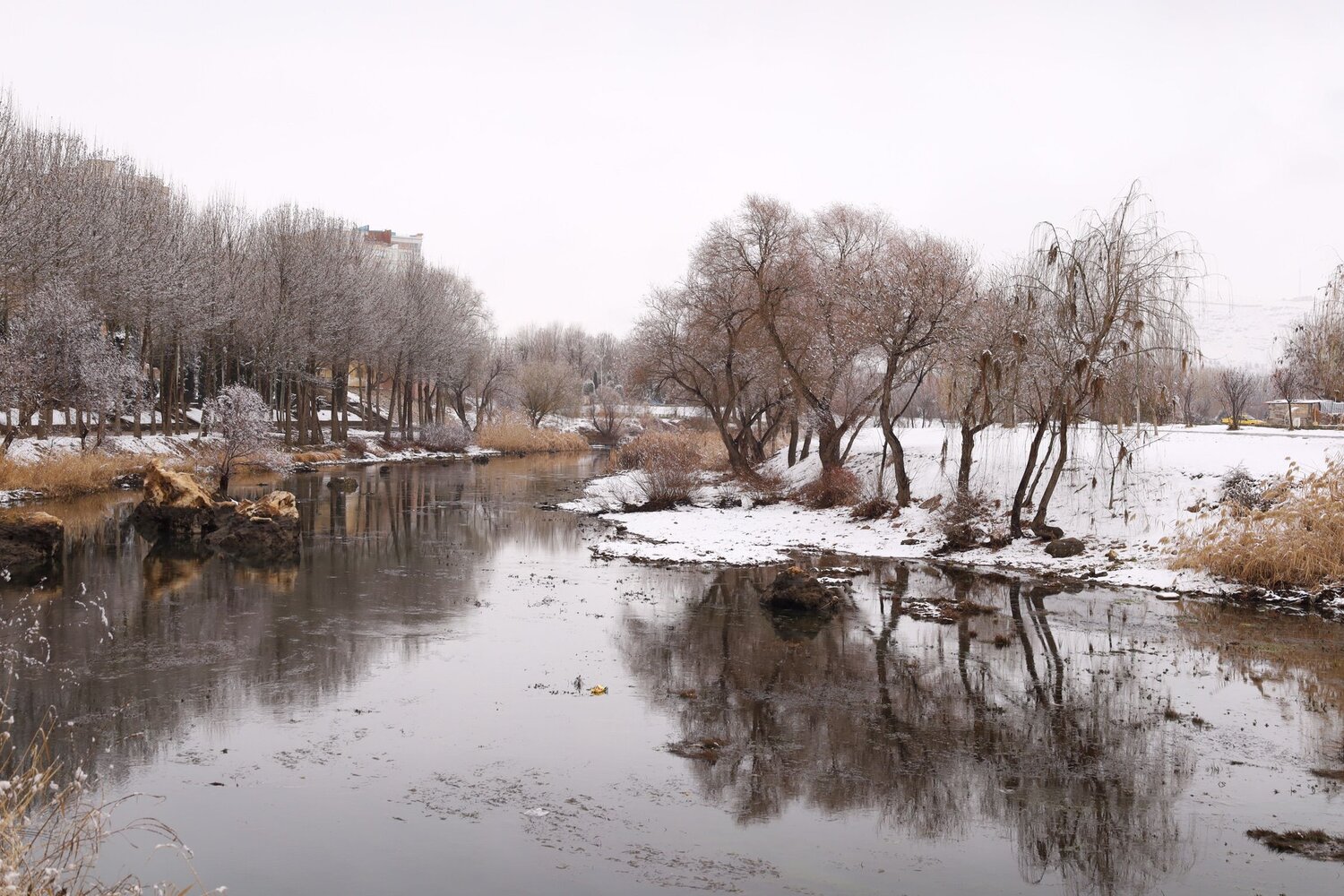 Photo #11736496