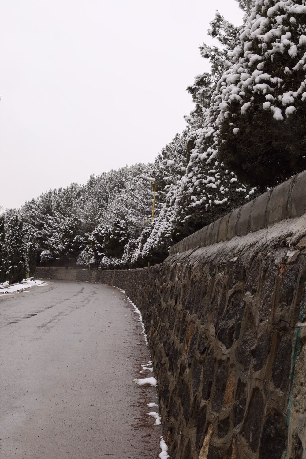 Photo #11736498