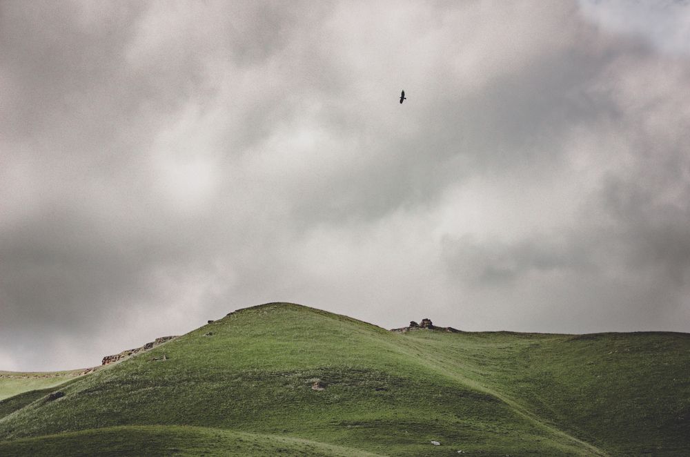 Photograph by Ольга Новикова