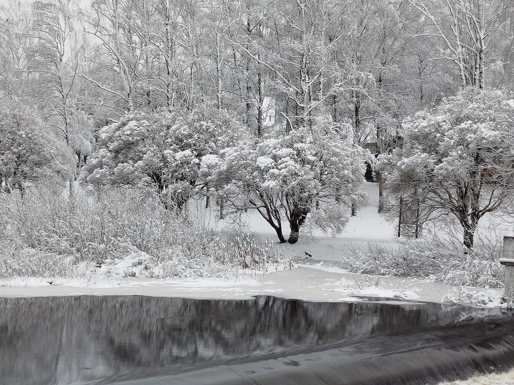 Photograph by Галина Бронникова