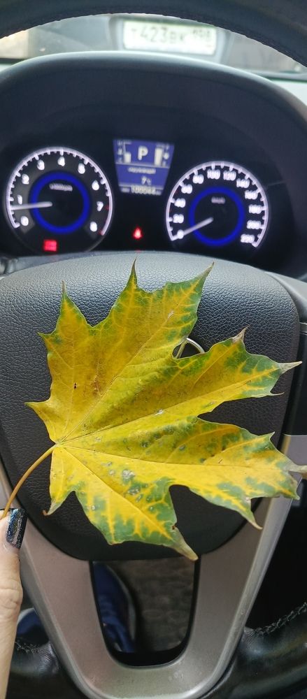 Photo #11736591