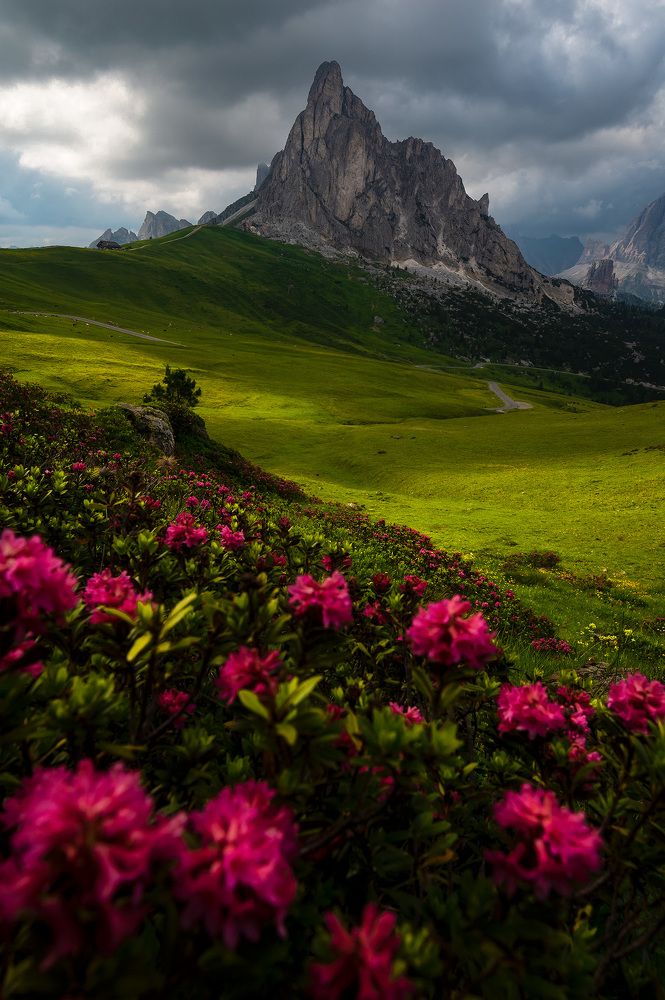 afternoon at passo giau