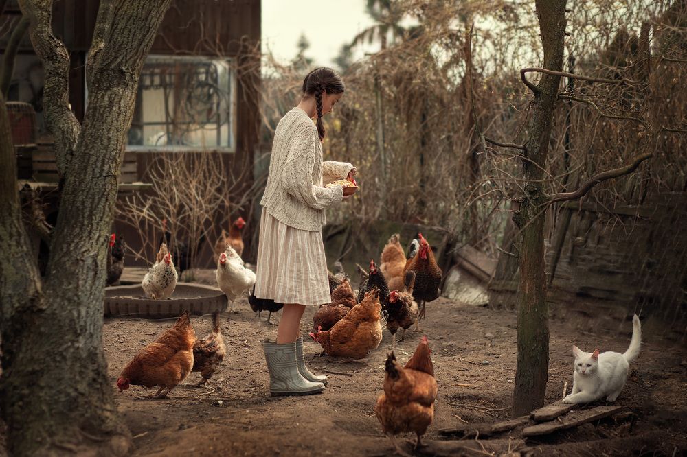 The girl and the chickens