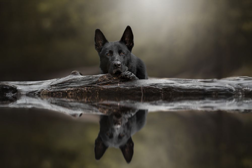 Photograph by Paula Casado Gutierrez