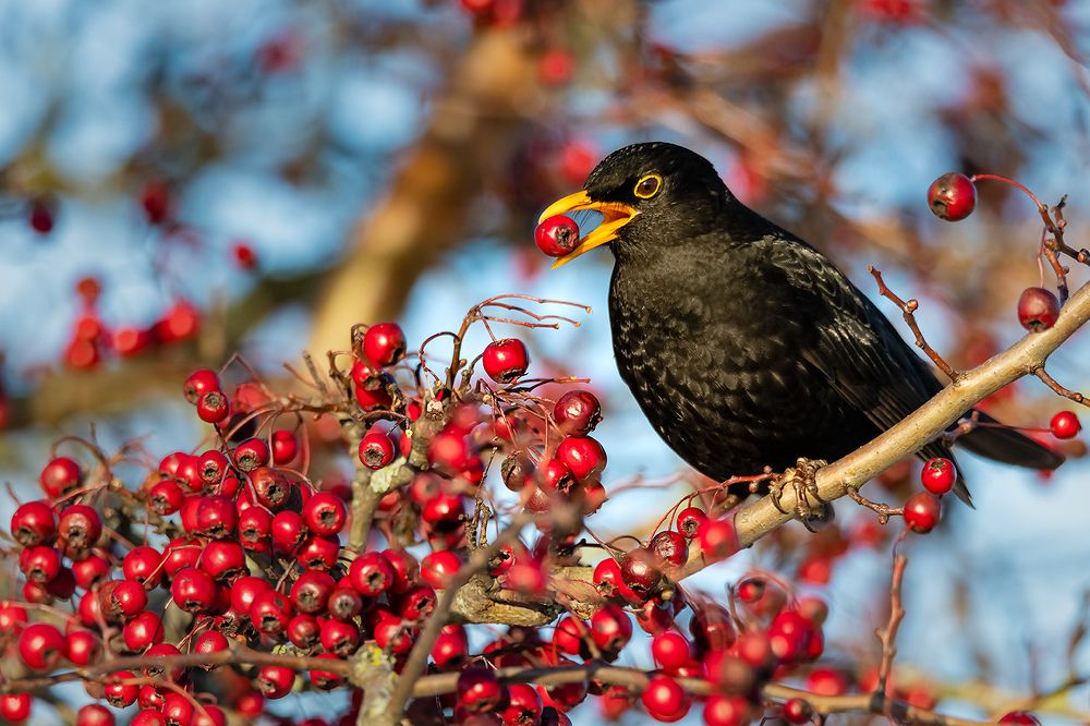 Photograph by Абросимов Александр