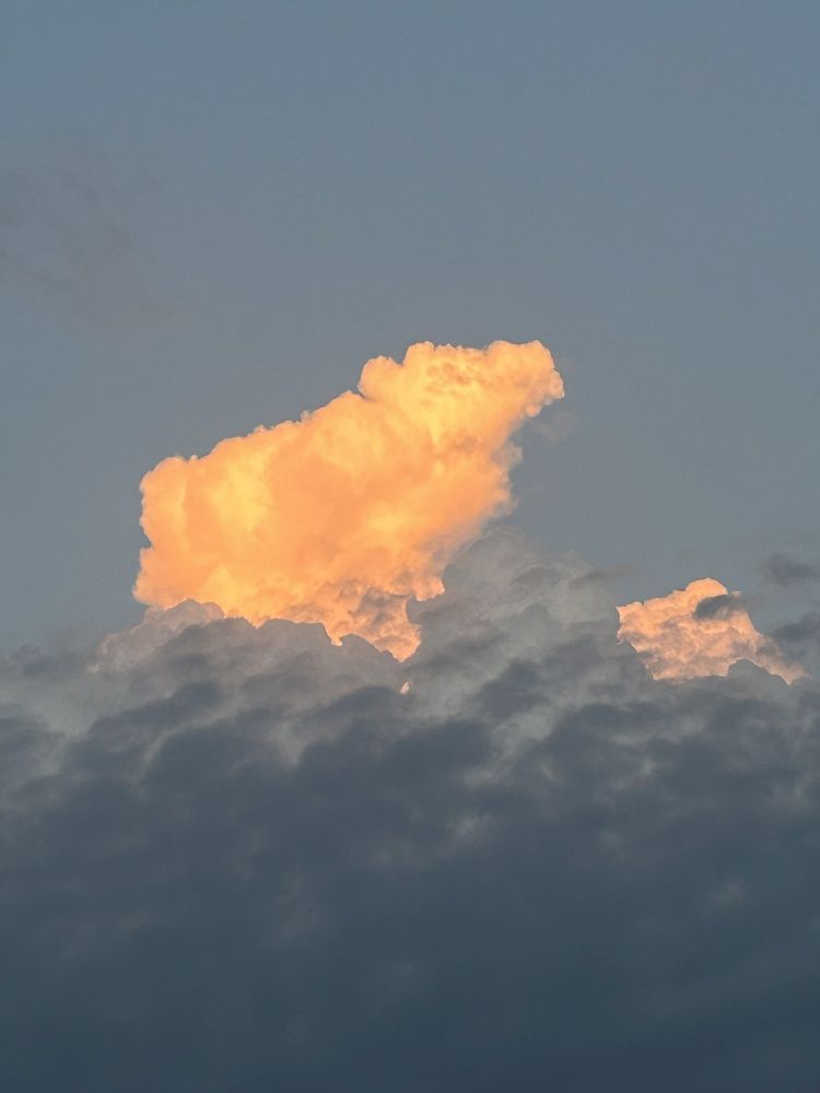 Photograph by Светлана Колышева