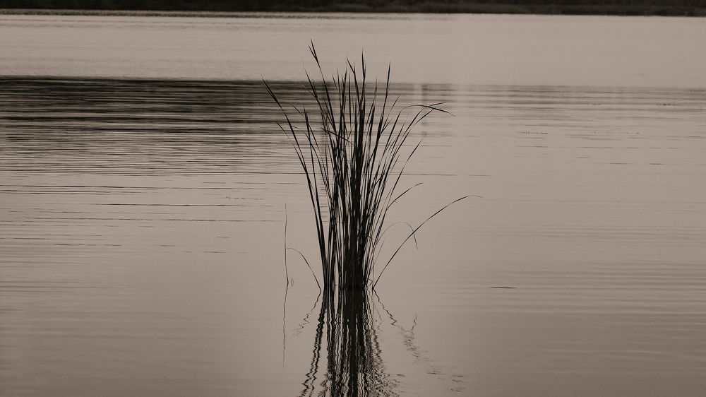 Photograph by Вадим Басов