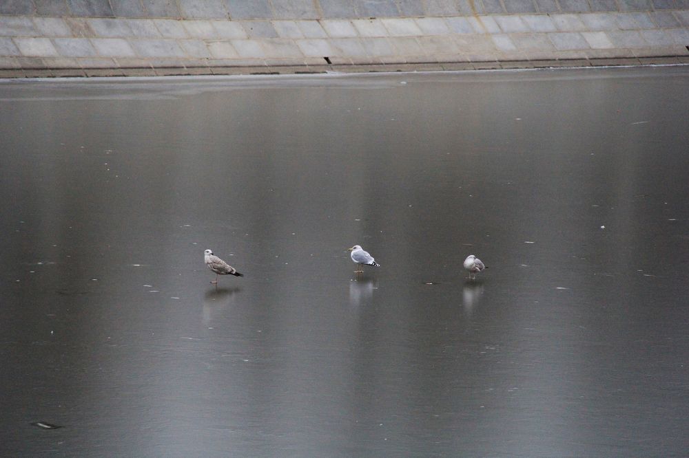 Photograph by Головчанский Артем Сергеевич